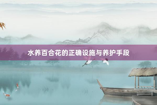 水养百合花的正确设施与养护手段